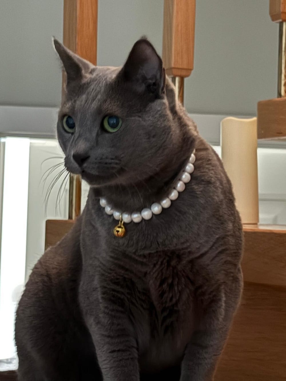 0eed14cb 6217 476d 9641 0311592cafb8