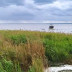 pyniemy ta sama odzia